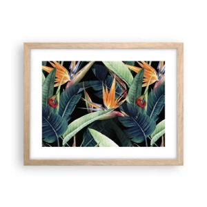 Plakat i ramme af lyst egetræ - Flammeblomster i troperne - 40x30 cm