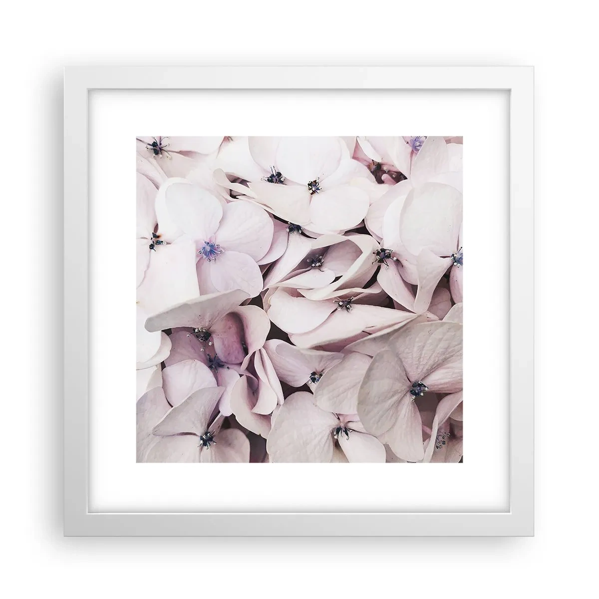 Plakat i hvid ramme - I en flod af blomster - 30x30 cm