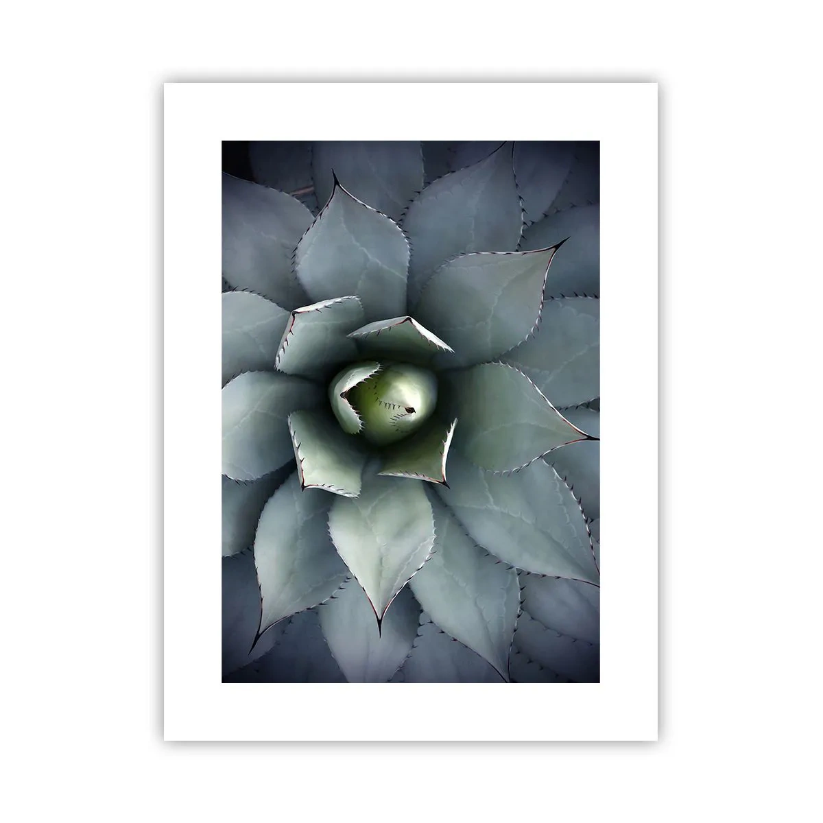 Plakat - Lokkemad og advarsler - 30x40 cm