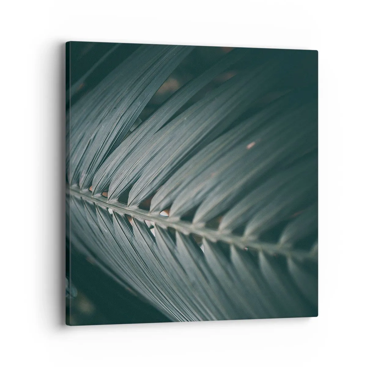 Lærredstryk - Billede på lærred - Naturens præcision - 40x40 cm