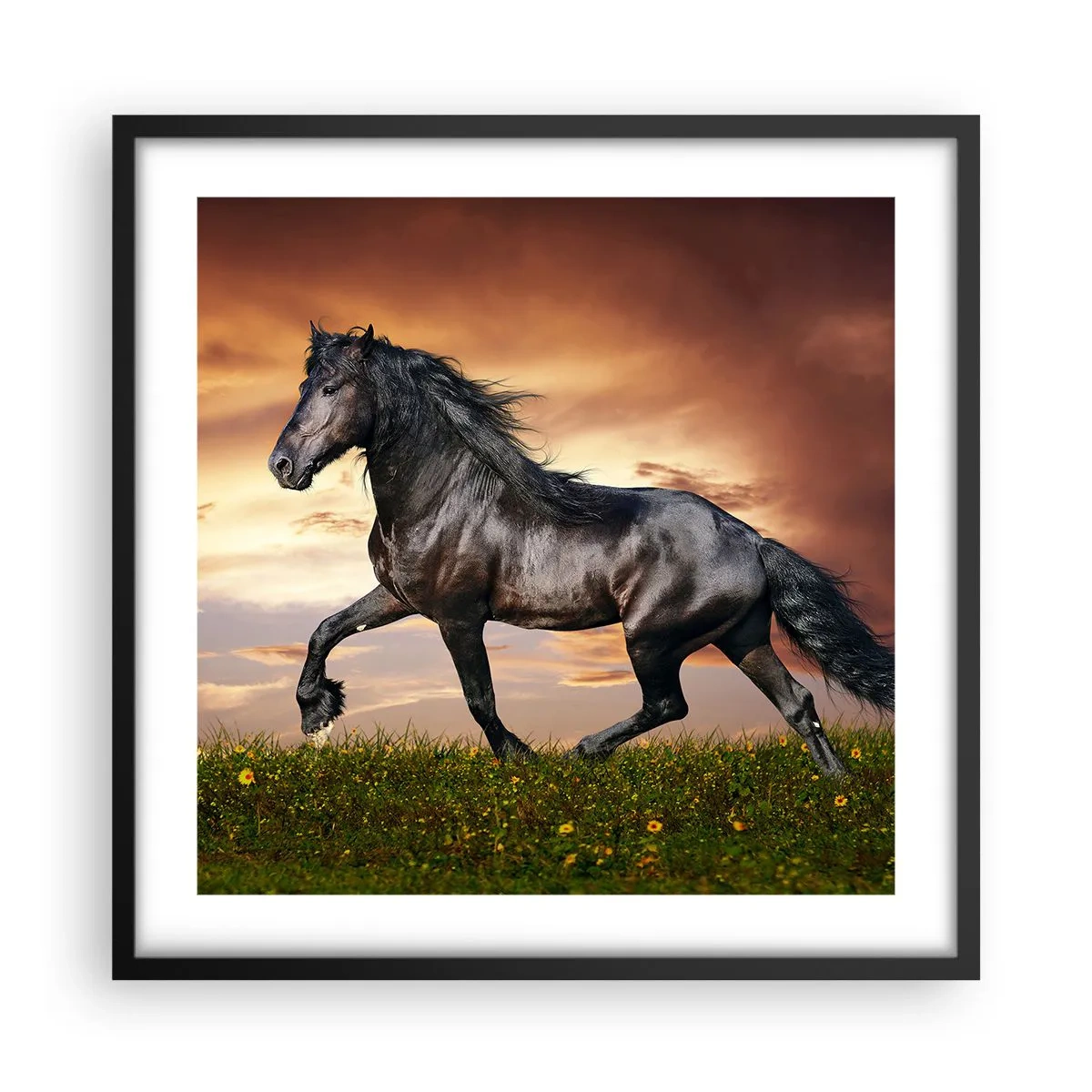 Plakat i sort ramme - Sort prins - 50x50 cm