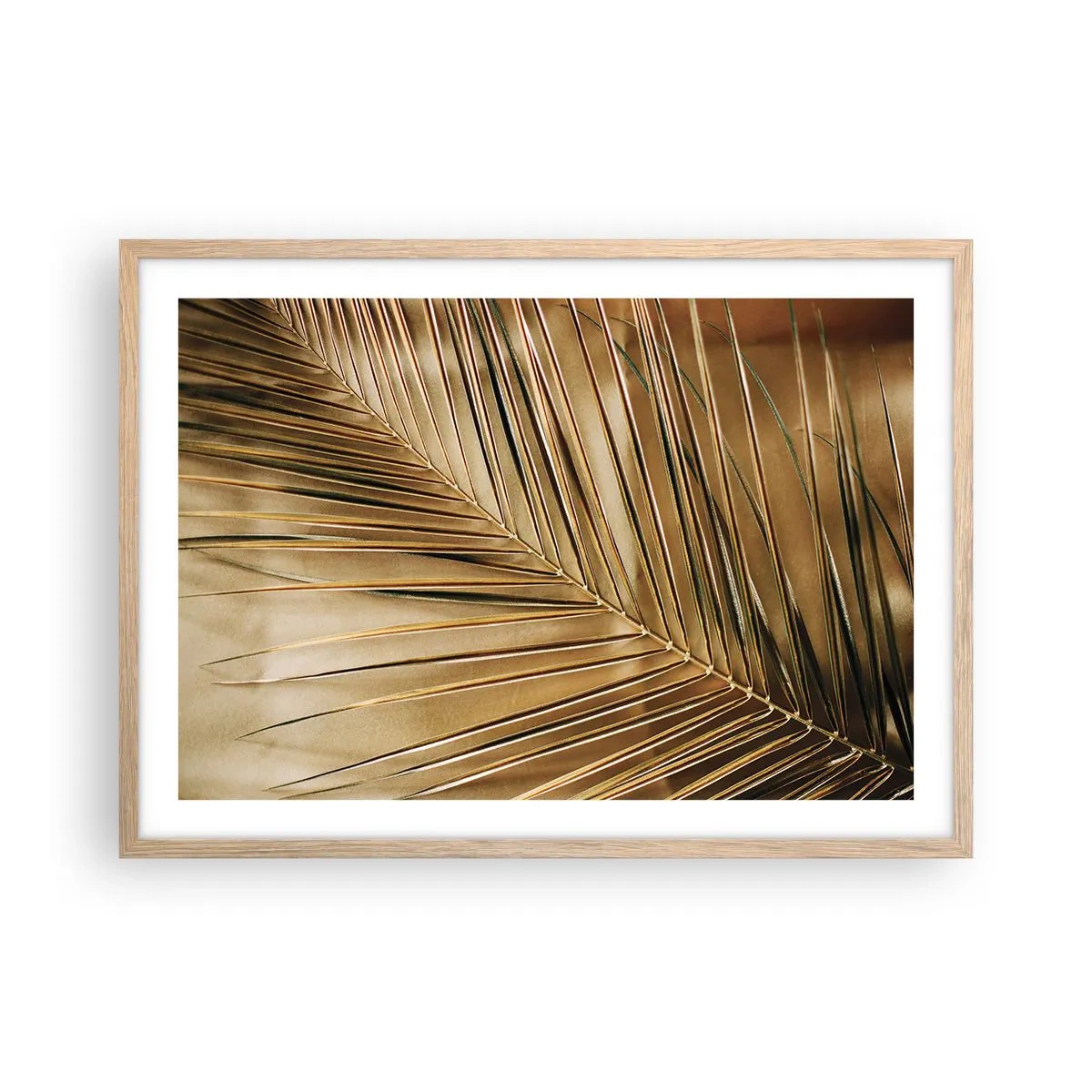 Plakat i ramme af lyst egetræ - Naturlig kolonnade - 70x50 cm