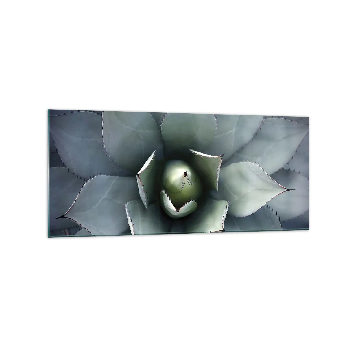Billede på glas - Lokkemad og advarsler - 120x50 cm