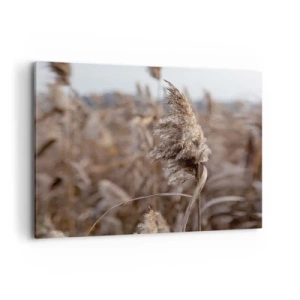 Lærredstryk - Billede på lærred - Tid til at flyve væk med vinden - 120x80 cm