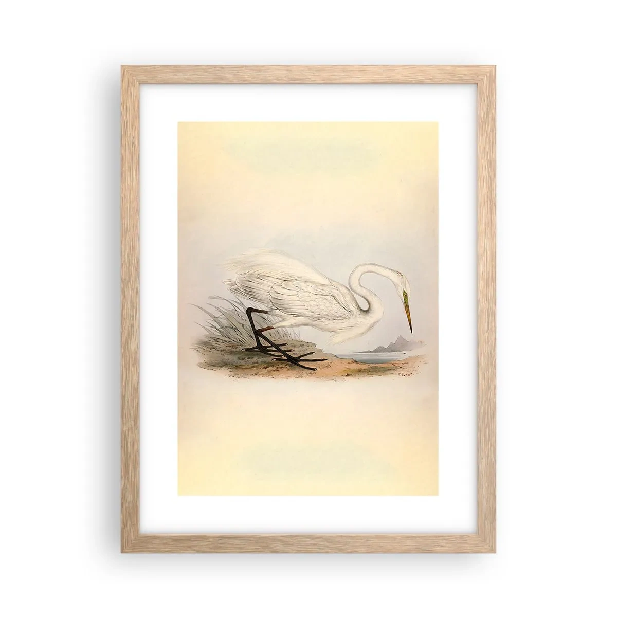 Plakat i ramme af lyst egetræ - Dame på sivene - 30x40 cm