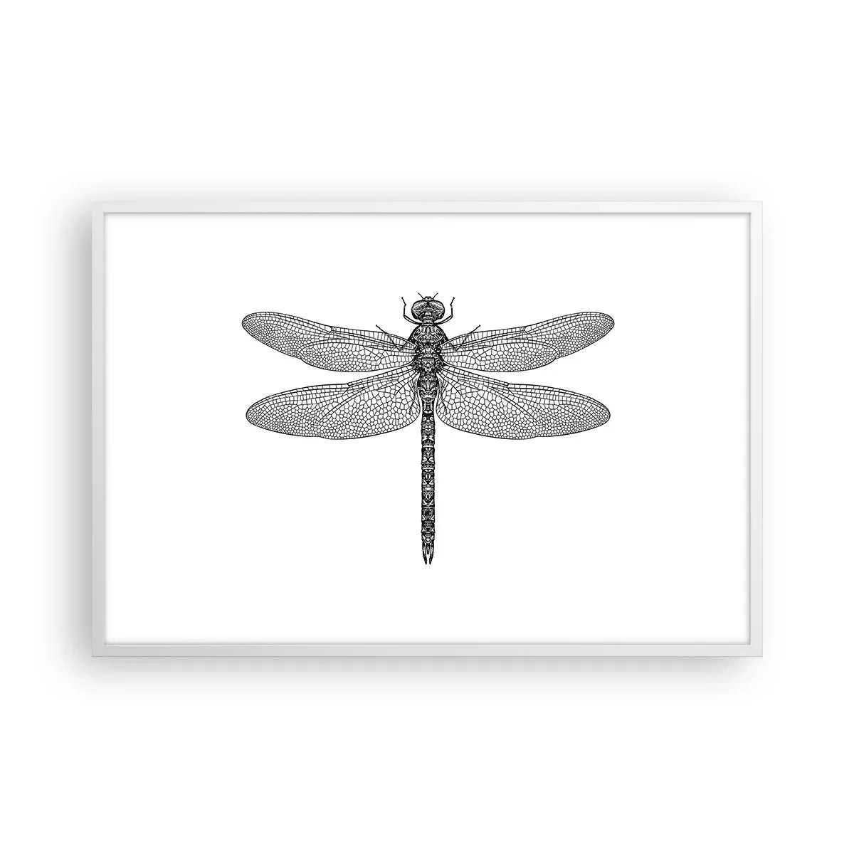 Plakat i hvid ramme - Præcision i naturen - 91x61 cm