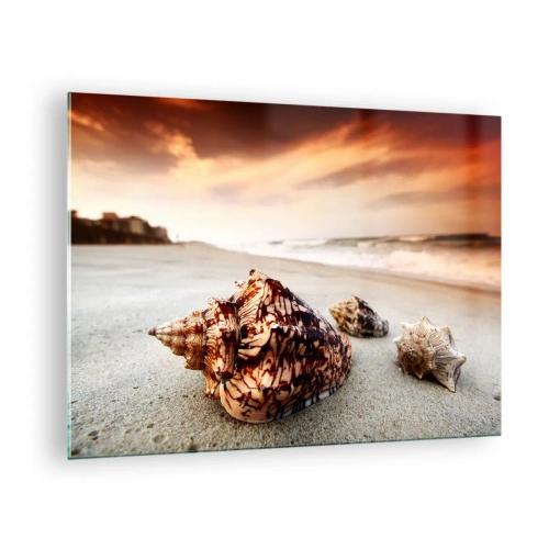 Billede på glas - Muslingeskaller på stranden ved solnedgang - 70x50cm - Bølgebevægelser - Moderne vægdekoration til stue og soveværelse ARTTOR