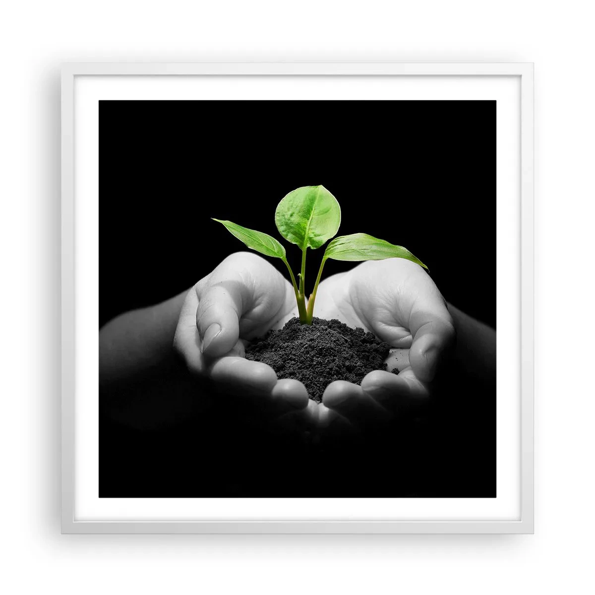 Plakat i hvid ramme - Jeg elsker naturen, jeg beskytter den - 60x60 cm