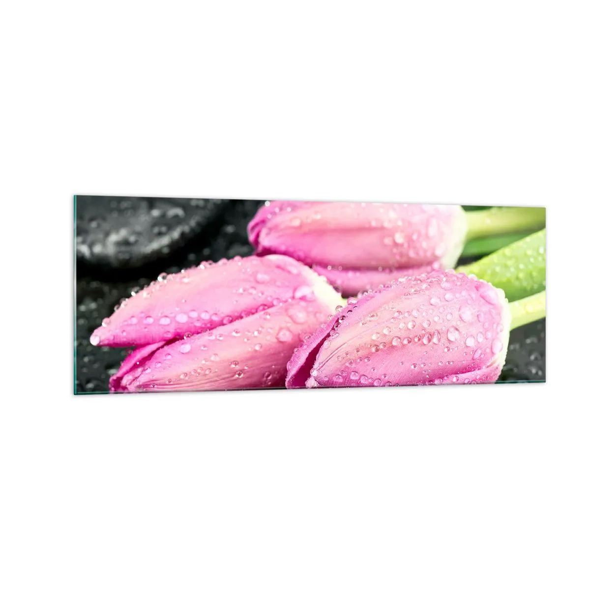 Billede på glas - Lilla tre på sort sten - 140x50 cm