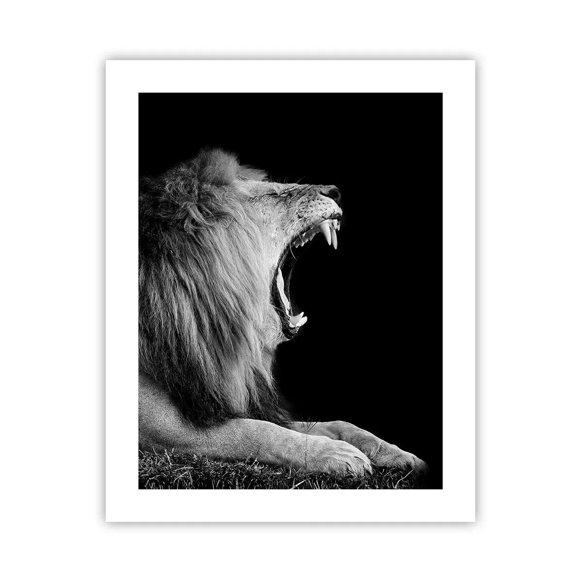 Plakat - Uden tvivl - 40x50 cm