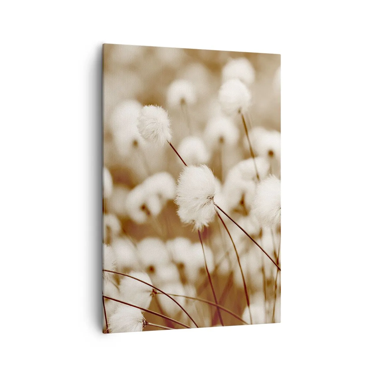 Lærredstryk - Billede på lærred - Fyldig mark - 70x100 cm