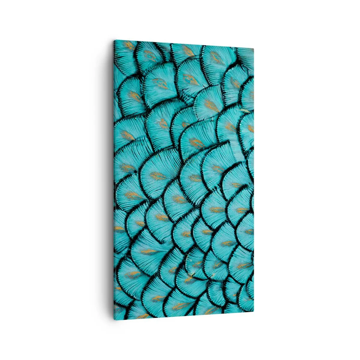 Lærredstryk - Billede på lærred - Den store fjer-galla - 45x80 cm