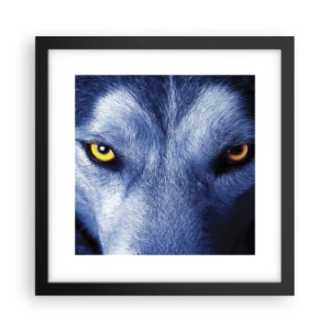 Plakat i sort ramme - Et hypnotiserende udseende - 30x30 cm