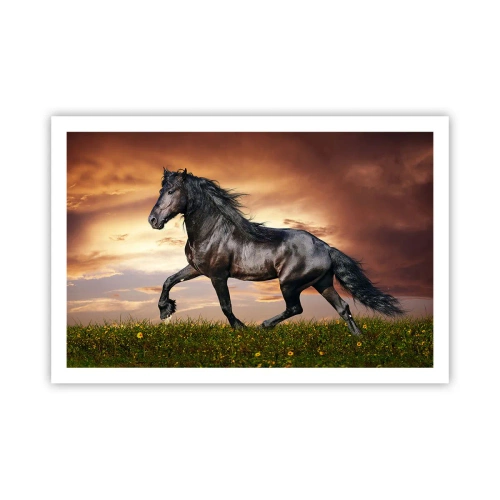 Plakat - Sort prins - 91x61 cm