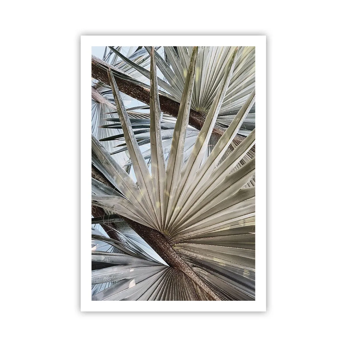 Plakat - Ventilatorer i troperne - 61x91 cm