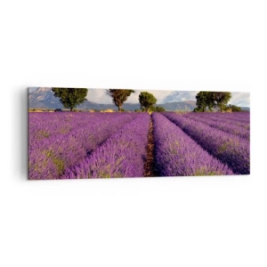 Lærredstryk - Billede på lærred - Enge med lavendel - 140x50 cm