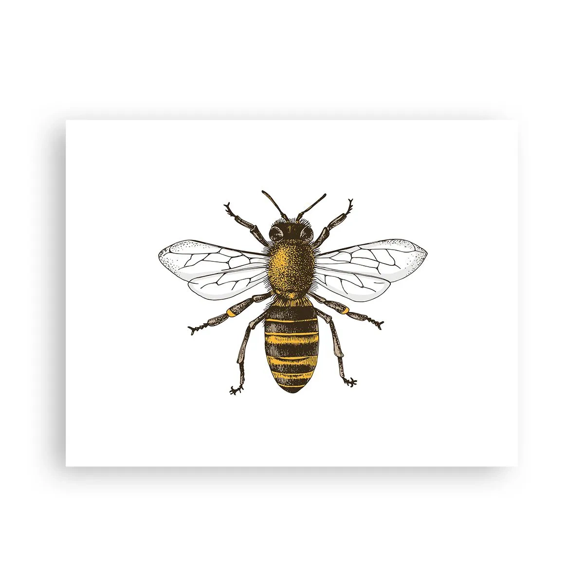 Plakat - Smuk og god - 40x30 cm