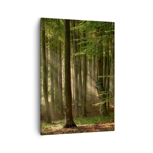 Lærredstryk - Billede på lærred - Strålende på en forårsmorgen - 50x70 cm