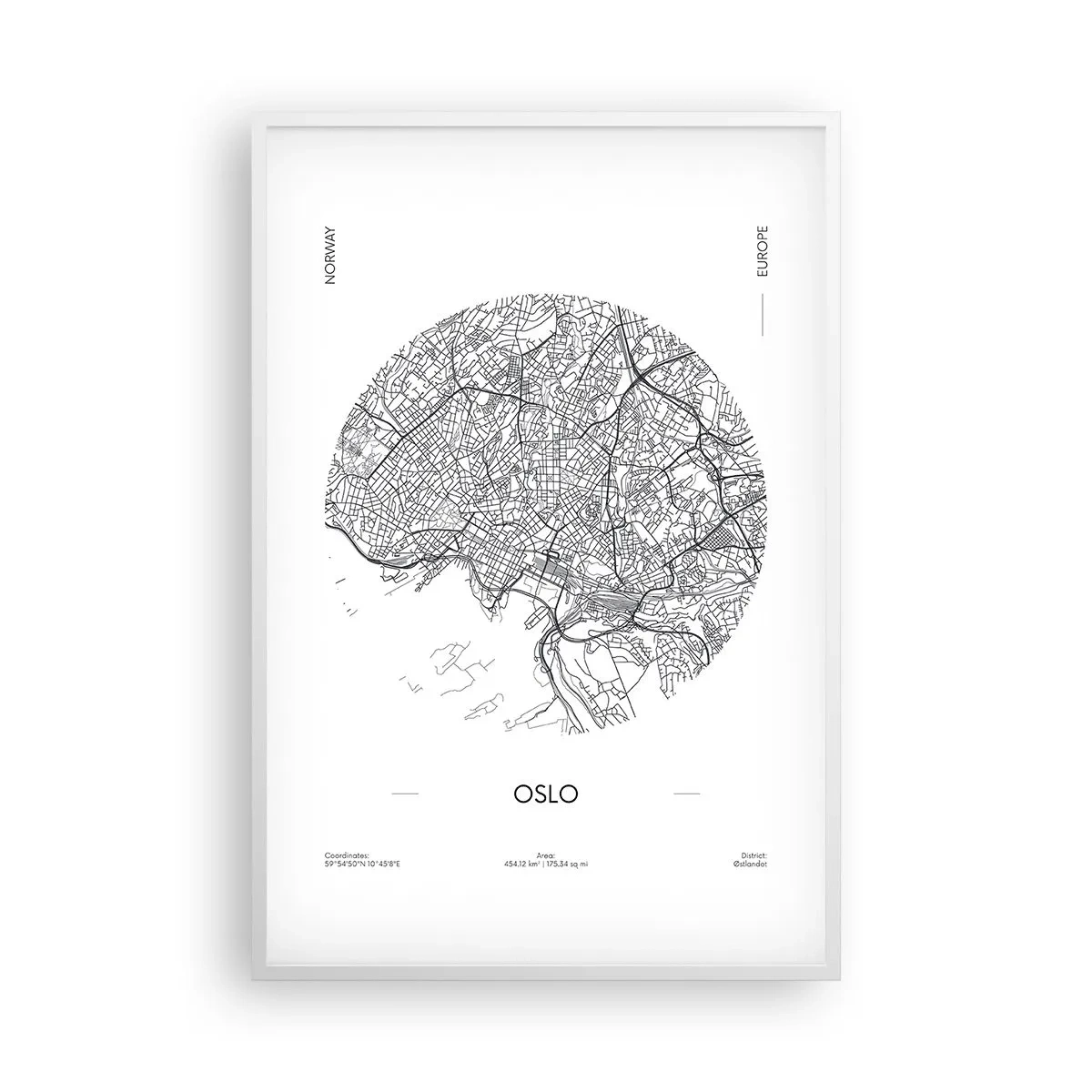 Plakat i hvid ramme - Anatomi af Oslo - 61x91 cm