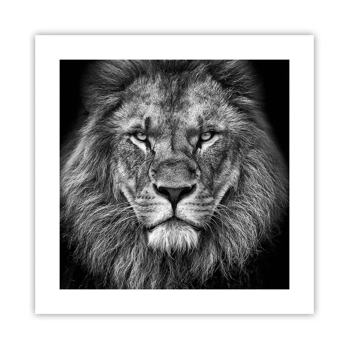 Plakat - I kroningsklædning - 40x40 cm