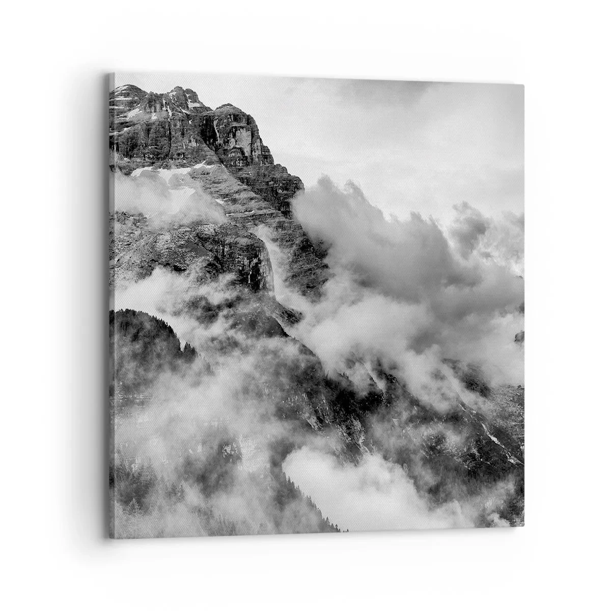 Lærredstryk - Billede på lærred - Smukt og grusomt - 70x70 cm