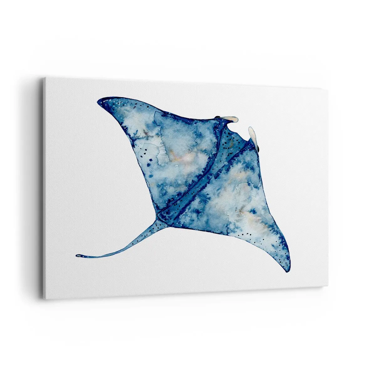 Lærredstryk - Billede på lærred - Liv i blåt - 100x70 cm