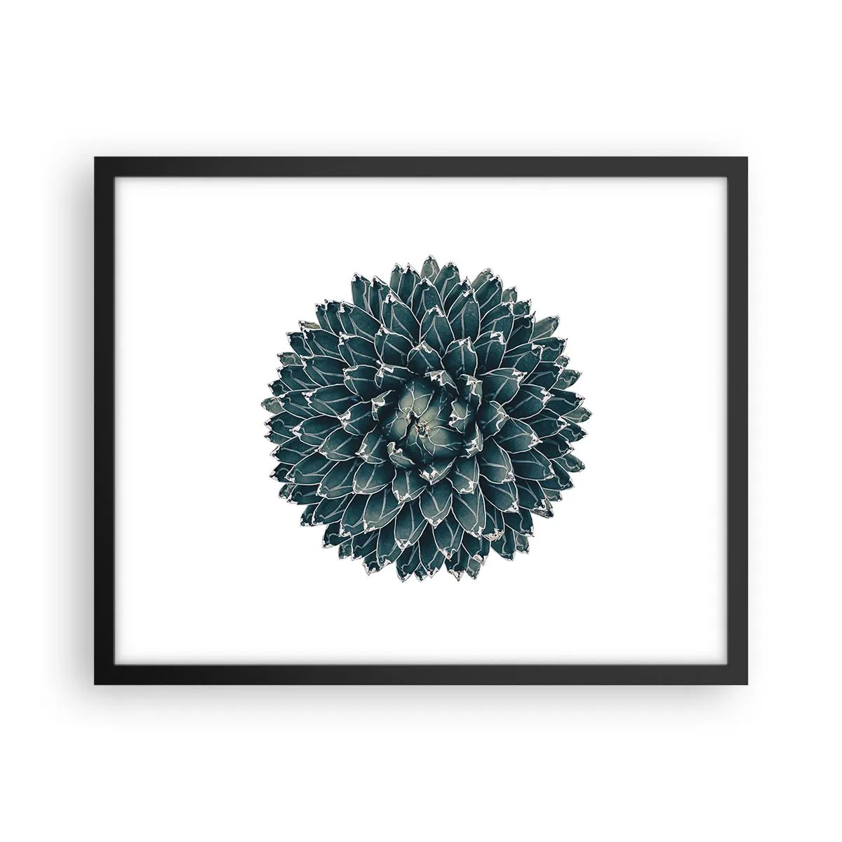Plakat i sort ramme - Ørkenstjerne - 50x40 cm
