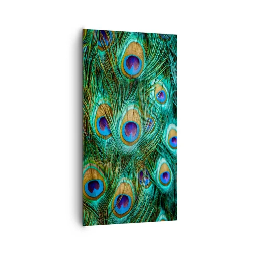 Lærredstryk - Billede på lærred - En påfugls blik - 65x120 cm