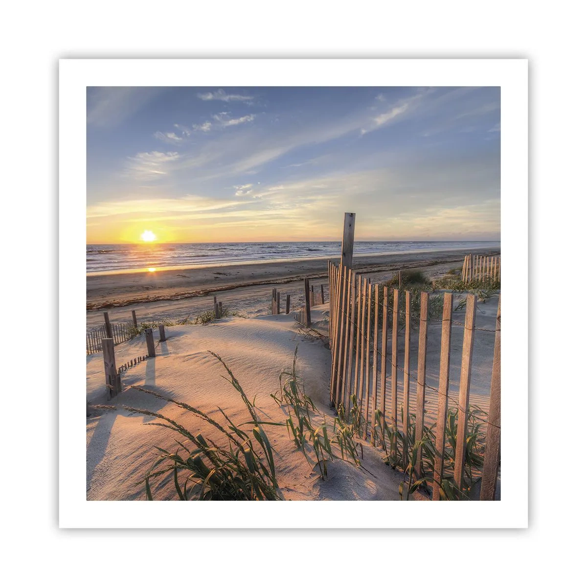 Plakat - Vindens blænding og skygge - 60x60 cm