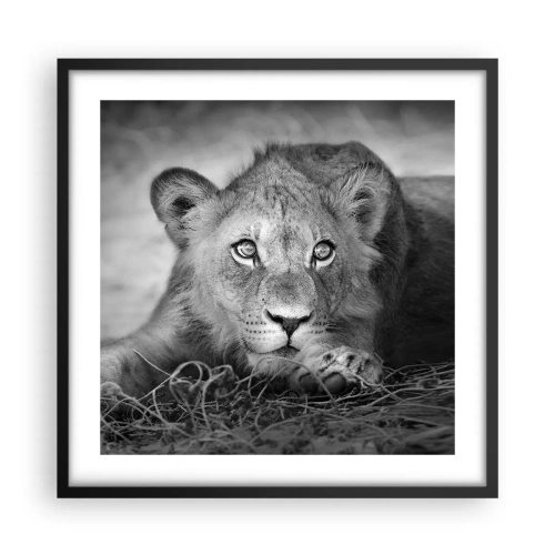 Plakat i sort ramme - Kongelig hvalp - 50x50 cm