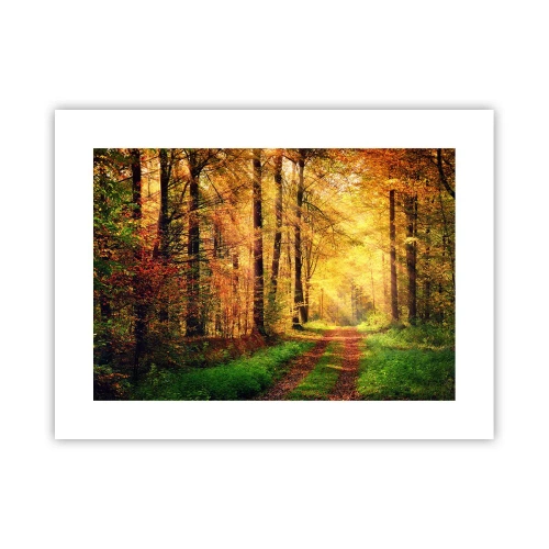 Plakat - Skovgylden stilhed - 40x30 cm