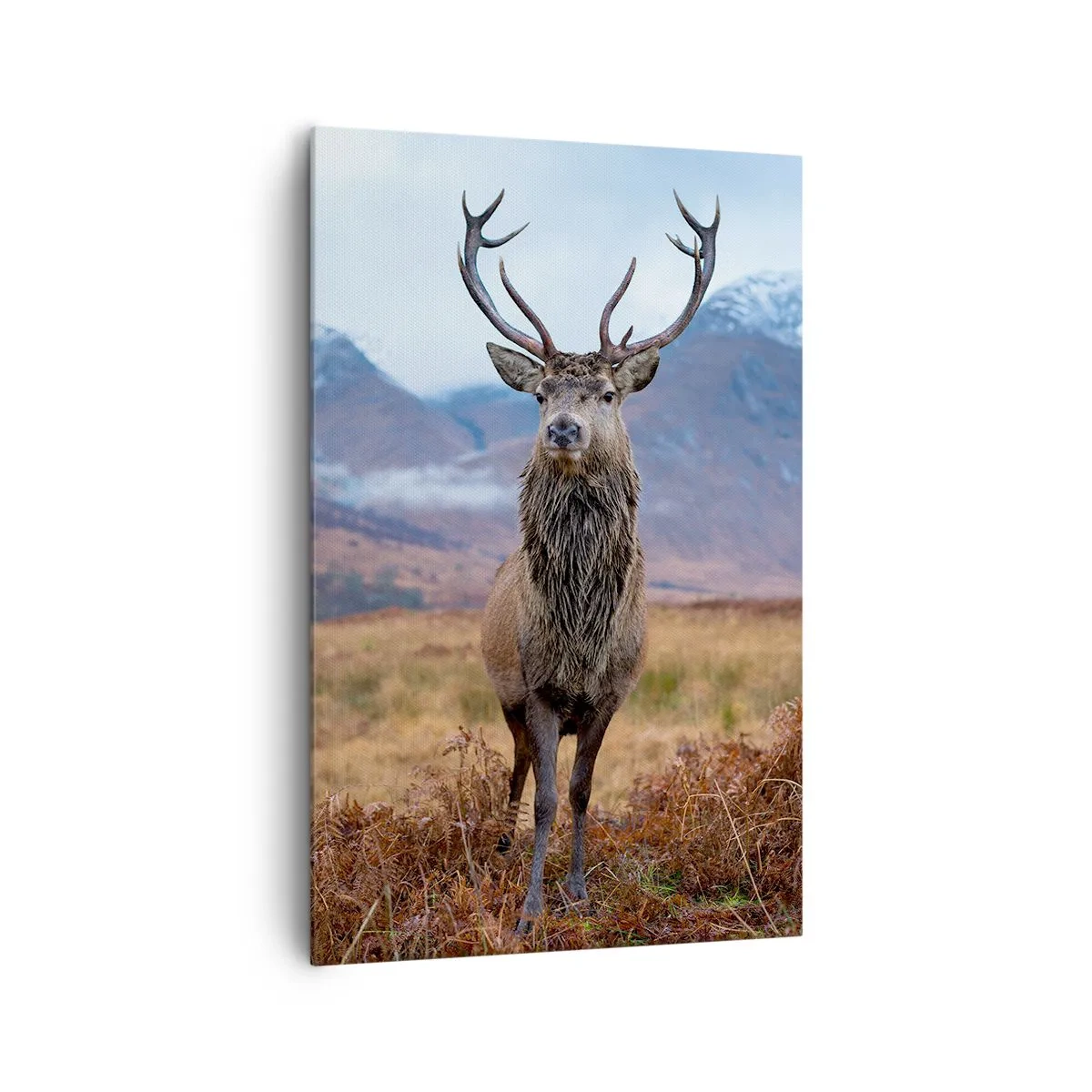 Lærredstryk - Billede på lærred - På deres egen jord - 80x120 cm