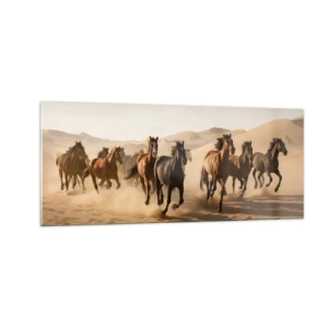 Billede på glas - Fri som vinden - 100x40 cm