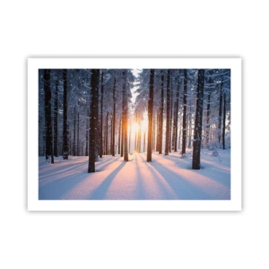 Plakat - Klart i sort og hvidt - 70x50 cm