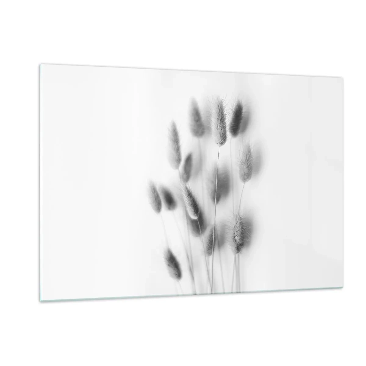 Billede på glas - Dens bløde græs - 120x80 cm