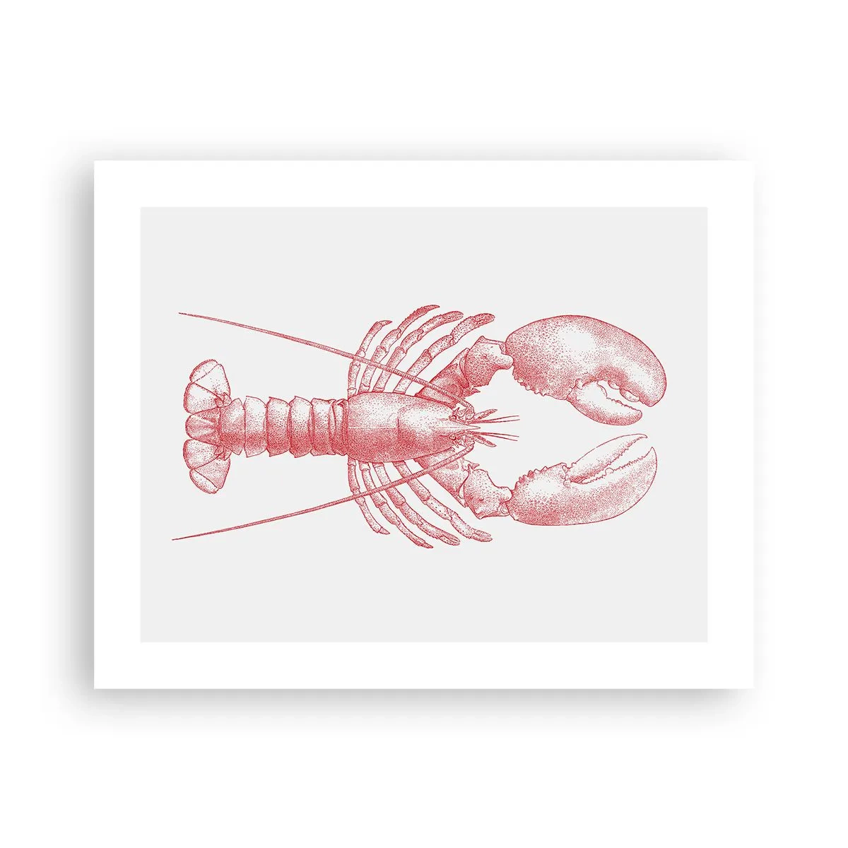 Plakat - Hummer, der er Homer værdig - 50x40 cm
