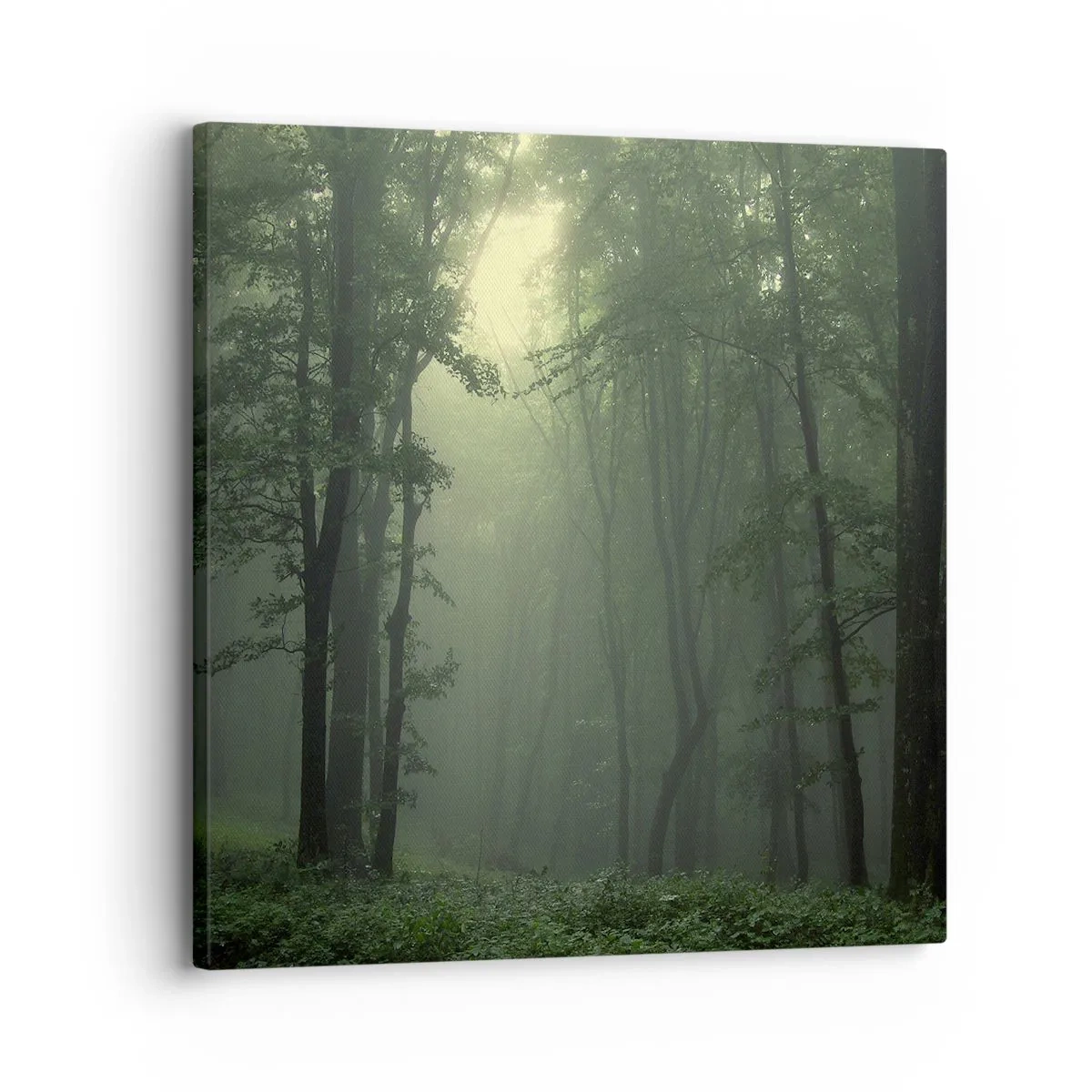 Lærredstryk - Billede på lærred - Før han vågner op - 30x30 cm
