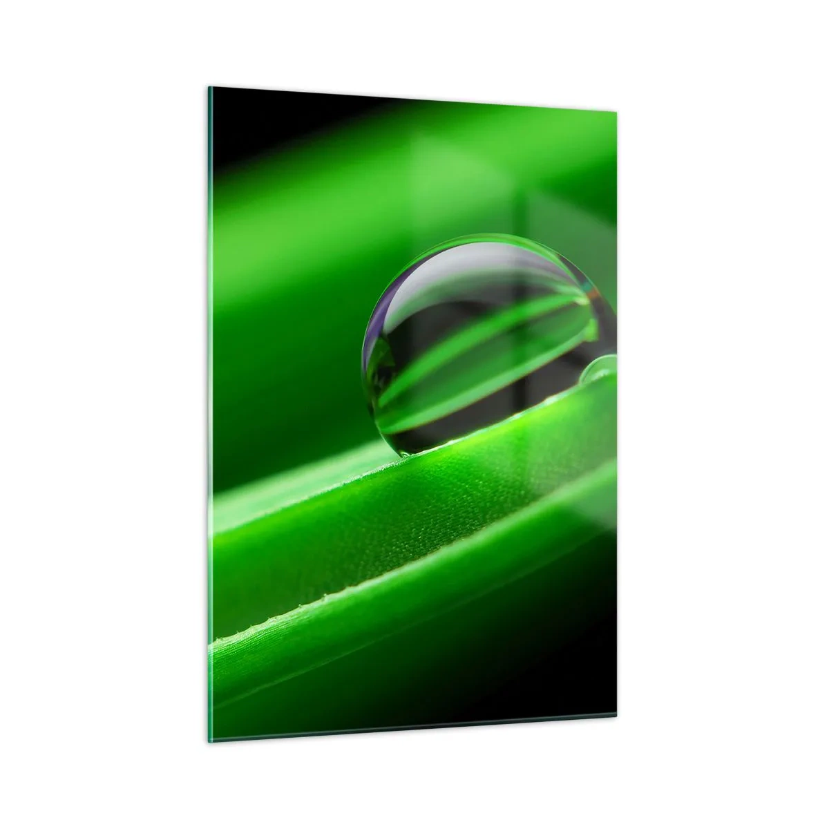Billede på glas - Livet på tæt hold - 50x70 cm