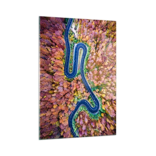 Billede på glas - En snoet vej gennem skoven - 50x70 cm