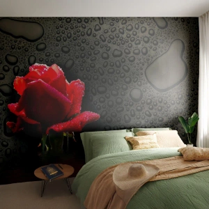 Fototapet Premium Sand - Rød og sort - Blomster, Rose, Vand - 100x70 cm