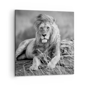 Lærredstryk - Billede på lærred - Kongelig siesta - 60x60 cm