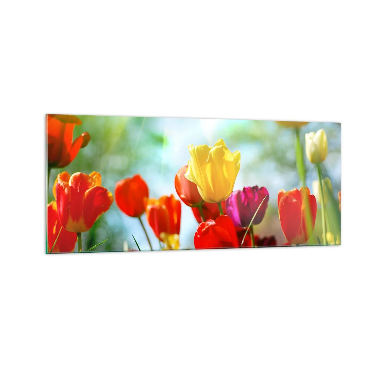 Billede på glas - Alle solens farver - 100x40 cm