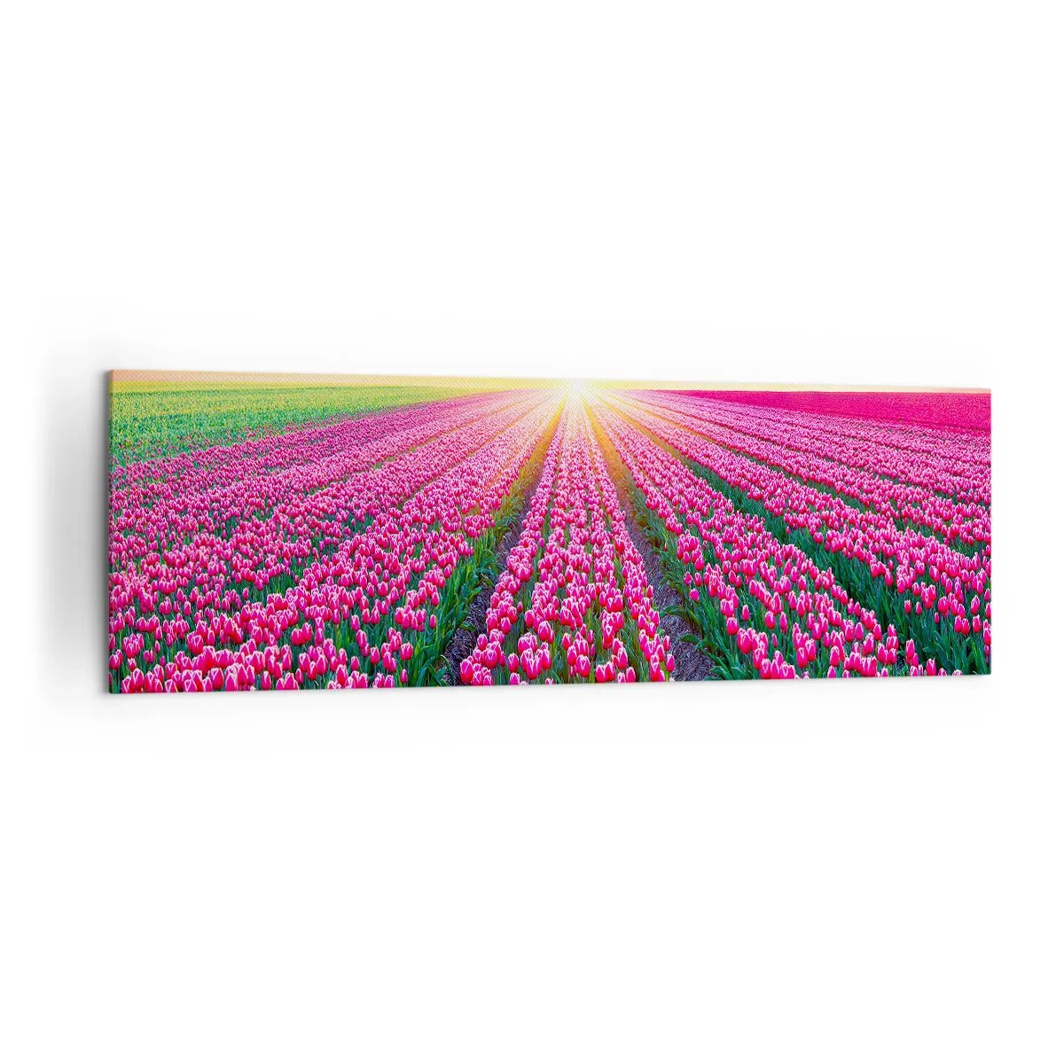 Lærredstryk - Billede på lærred - Skønhedsfarm - 160x50 cm