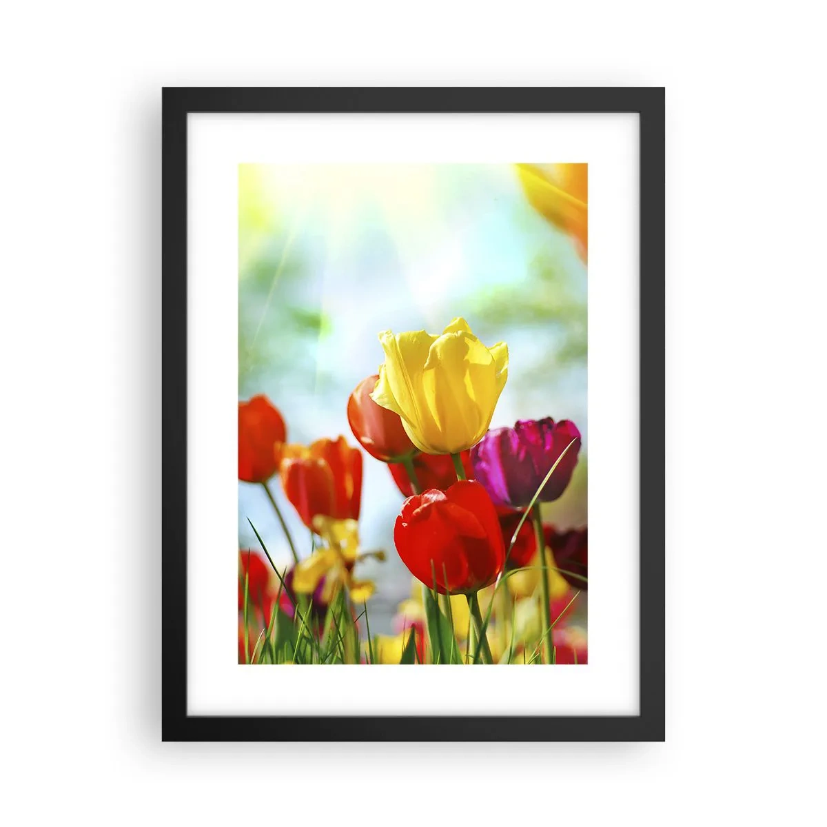 Plakat i sort ramme - Alle solens farver - 30x40 cm