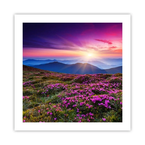 Plakat - Urter duftede friske bundter fra niw - 50x50 cm