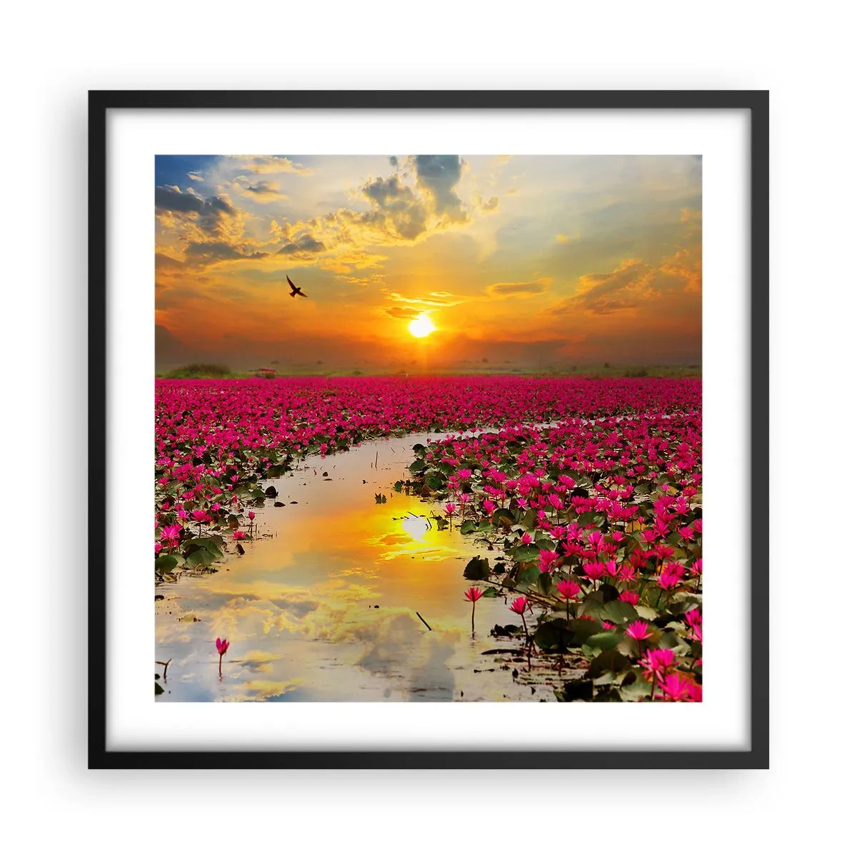 Plakat i sort ramme - Søens hemmelige liv - 50x50 cm