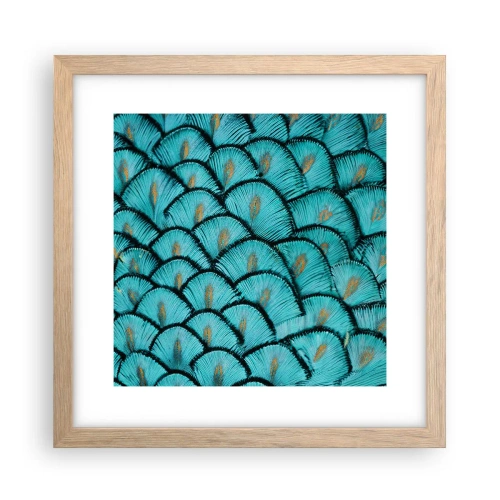 Plakat i ramme af lyst egetræ - Den store fjer-galla - 30x30 cm