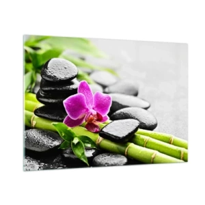 Billede på glas - I en fredelig balance - 100x70 cm