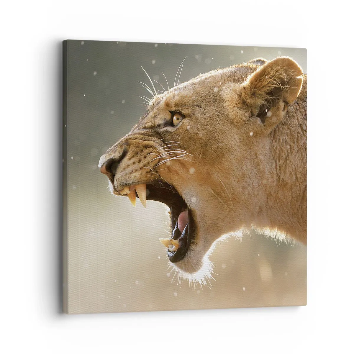 Lærredstryk - Billede på lærred - Prøv ikke at lytte - 30x30 cm