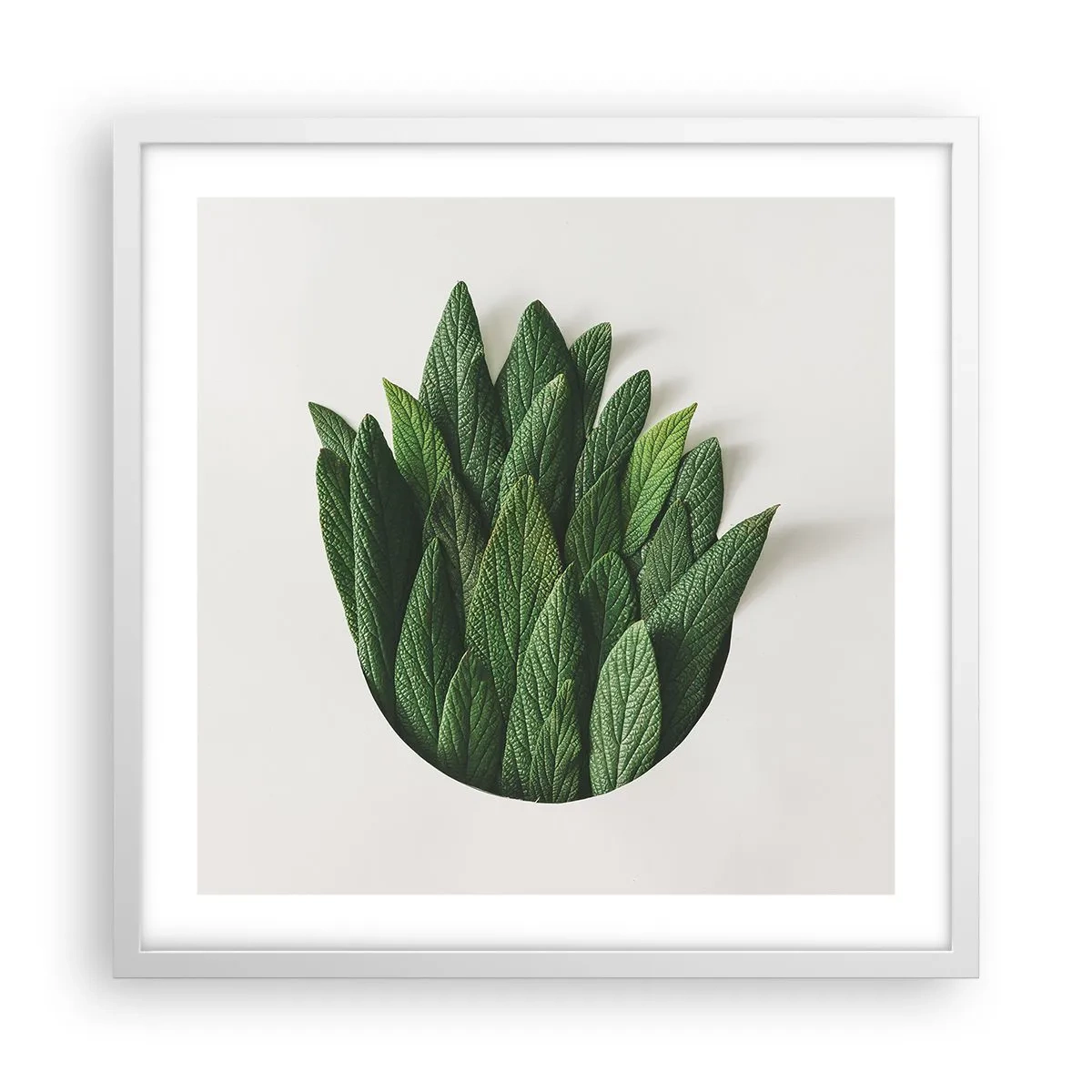 Plakat i hvid ramme - Uhæmmet nysgerrighed - 50x50 cm